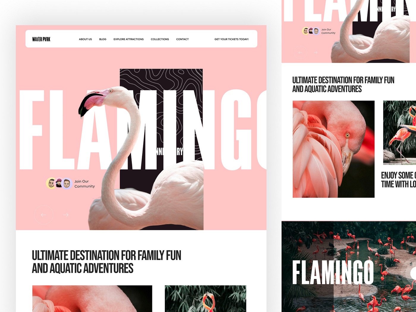 Flamingo water park — Dribbble shot